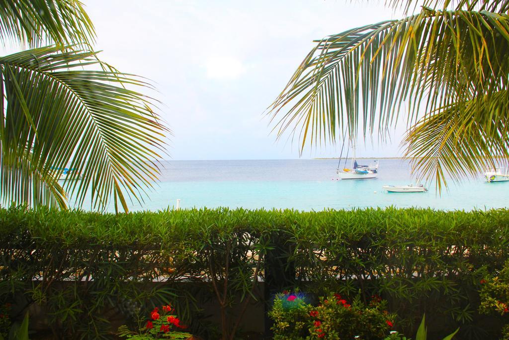 Bonaire Seaside Apartments 外观 照片