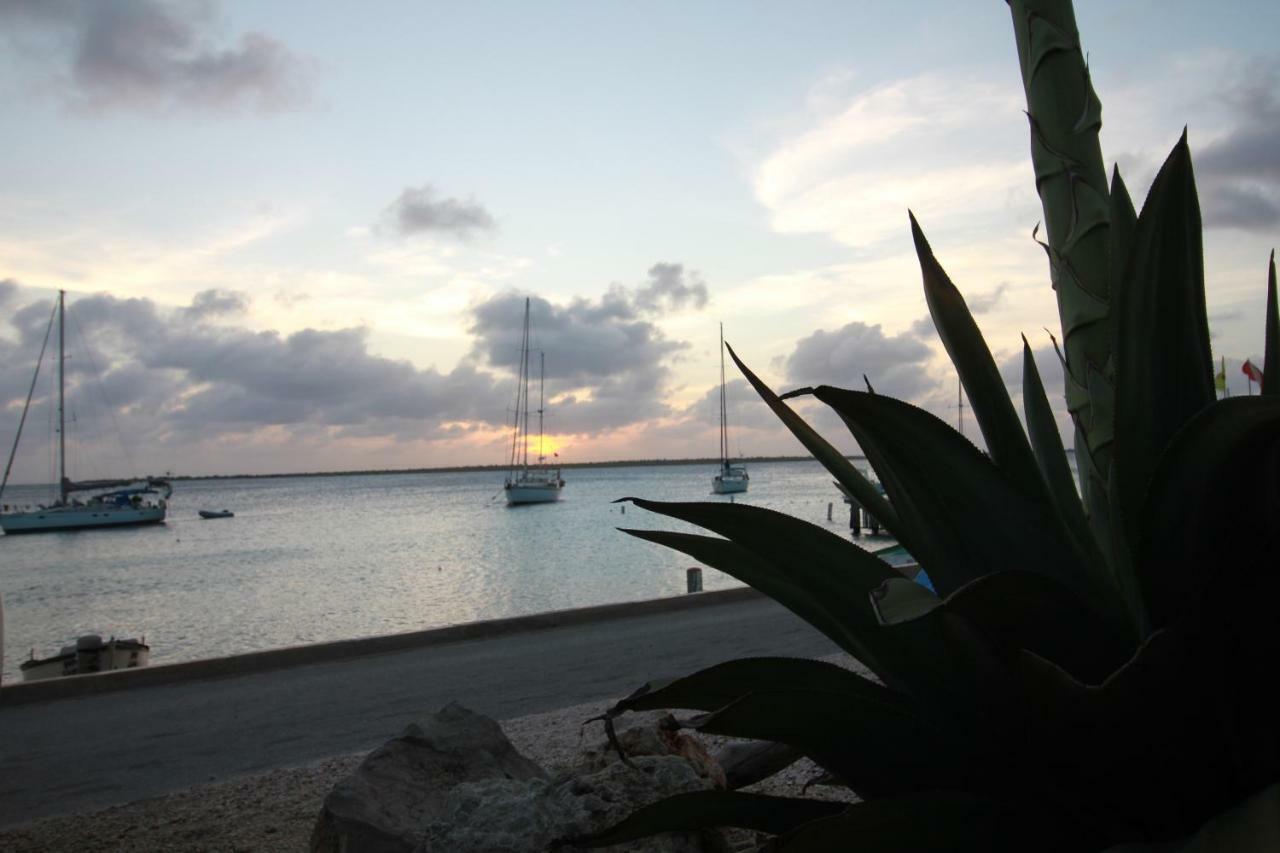 Bonaire Seaside Apartments 外观 照片